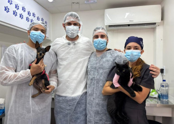 Semarh ultrapassa marca de 500 castrações realizadas no Castramóvel