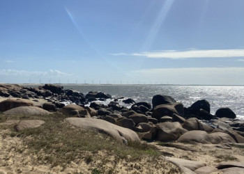 Prefeito de Parnaíba exonera superintendente de Turismo após retirada de cruzeiro na Praia da Pedra do Sal, sem comunicar a gestão