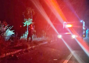 Motociclista morre após colisão frontal com caminhonete na BR-343, em Amarante-PI