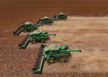 Cerca de 80% do valor da produção agrícola do Piauí está concentrado em 9 municípios, diz IBGE