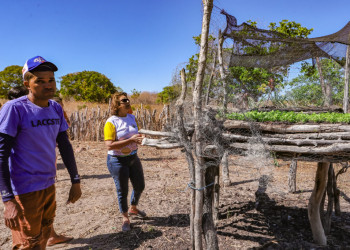 Comunidade Algodões, onde viveu Esperança Garcia, será contemplada com projeto de agricultura familiar