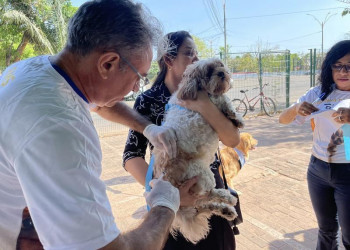 Vacinação contra a raiva acontece no fim de semana nas zonas Norte e Leste de Teresina; veja locais