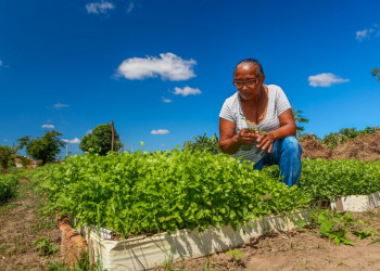 Quitanda da Agricultura Familiar movimenta mais de R$ 1 milhão em comercialização e expande presença no estado