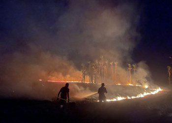 Mais de 850 incêndios florestais foram combatidos pelo Corpo de Bombeiros Militar no Piauí em 2024