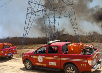 Bombeiros são acionados após incêndio de grande proporção em região de mata no interior do Piauí