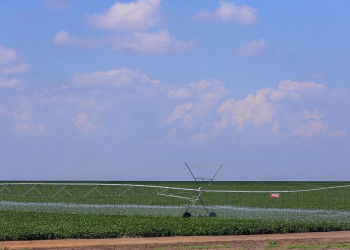 Valor da produção agrícola registra crescimento superior a 380% no Piauí, aponta IBGE