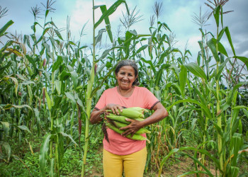 Dia da Mulher Rural: mais de 80% dos alimentos adquiridos pelo PAA são produzidos por agricultoras