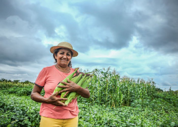 Governo do PI incentiva produção de alimentos a partir de sementes crioulas na agricultura familiar