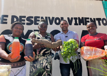 Programa prevê R$ 1 mi para compra e distribuição de alimentos produzidos por quilombolas no Piauí