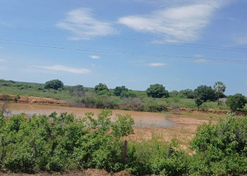 Técnicos da Semarh percorrem quase 2 mil quilômetros e constatam seca verde no Piauí