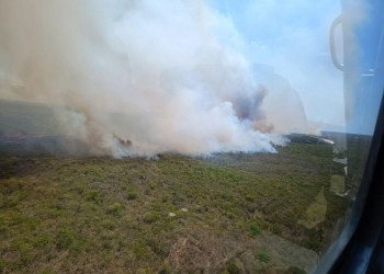 Inteligência Artificial antecipa cenários e faz previsão de onde ocorrerá incêndios no Piauí