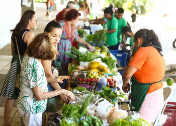 Alta na produção de hortaliças impulsiona vendas na Quitanda da Agricultura Familiar
