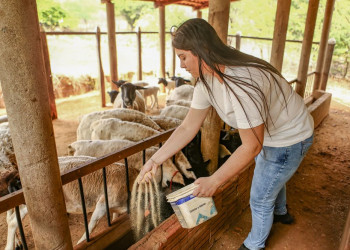 Estudantes se preparam para início de curso do Programa Juventude Rural Transformadora na segunda (9)