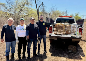 Semarh realiza a soltura de mais de 20 animais silvestres em José de Freitas, no Piauí