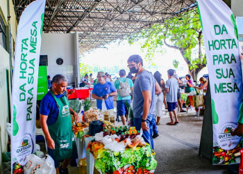 Quitanda da Agricultura Familiar impulsionou venda de alimentos em 2024