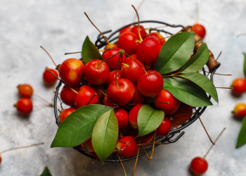 Piauí apresenta redução de quase 60% na produção de acerola devido a diminuição de área plantada, aponta IBGE