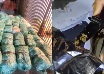 Após se envolver em acidente, homem é preso com mais de 300kg de drogas dentro de carro no Sul do Piauí