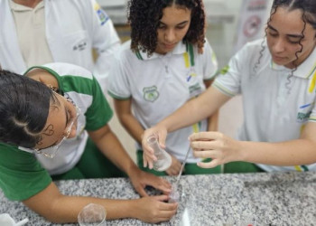 Professor e alunos da rede estadual criam repelente natural contra mosquito da dengue no Piauí