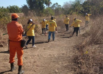 Monitoramento aponta redução de 47% dos incêndios florestais no mês de setembro no Piauí