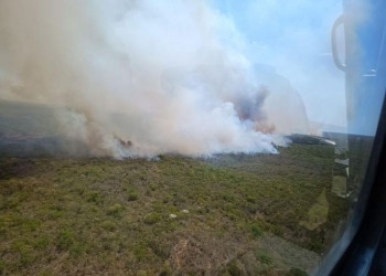 Força-tarefa atua no combate a incêndios criminosos no Cerrado piauiense; pontos com risco são monitorados via satélite