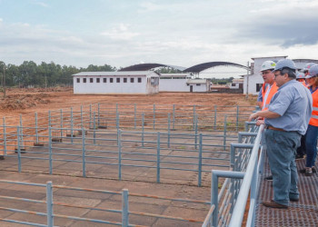 Frigorífico industrial de R$ 200 mi vai gerar valor agregado à pecuária do Piauí, diz governador