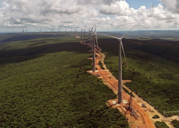 Piauí avança no ranking nacional de energia elétrica e lidera geração renovável
