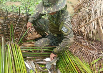 A 10 dias do fim da Piracema, apreensões de pescado aumentam 40% no Piauí; cerca de R$ 40 mil de multas já foram aplicadas