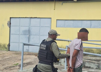 Mesmo usando tornozeleira eletrônica, homem assalta residências e acaba preso no Piauí