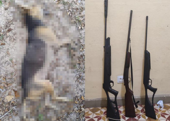 Homem é preso após matar cachorro a tiros no Piauí; alegou que animal teria invadido sua propriedade