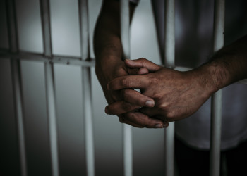 Pedreiro é preso por suspeita de estuprar cadela em Teresina; tutora flagrou crime por câmera