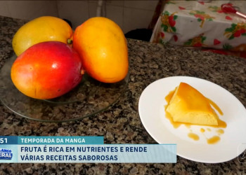 Temporada da manga: aprenda a fazer um delicioso pudim com a fruta