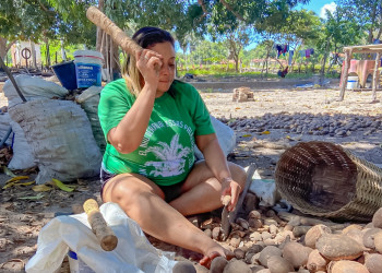 Lei federal reconhece ofício das quebradeiras de coco babaçu como patrimônio cultural nacional e fortalece tradição no Piauí