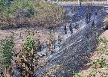 Mais de 30% dos atendimentos da Defesa Civil em outubro foram por queimadas em Teresina, aponta levantamento