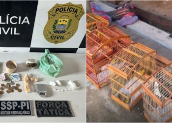 Polícia deflagra operação, apreende drogas e resgata animais em situação de maus-tratos no Piauí