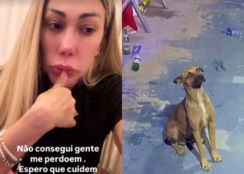 Dono de cachorro que viralizou ‘curtindo show’ de Taty Girl no Piauí aparece e nega adoção: 