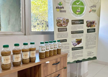 Adapi concede certificado de inspeção vegetal a empresa que produz tempero artesanal em Teresina