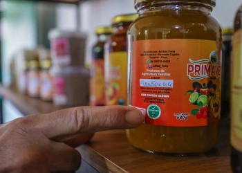 Selo de certificação de produtos de origem vegetal amplia mercados para produtores piauienses