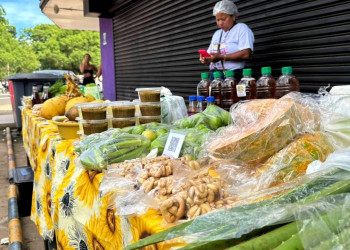 Governo do Piauí fortalece o campo com 40 mil inseminações, 91 dessalinizadores e mais de 700 mil produtores atendidos