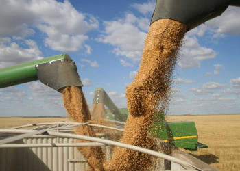 Piauí atinge quase R$ 1 bilhão em exportações no mês de abril deste ano