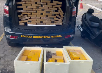 No Piauí, PRF apreende mais de 180 tabletes de cocaína em carreta; carga avaliada em milhões