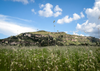 Governo do Piauí sanciona Refis Ambiental com descontos de até 90% em multas