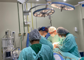 Piauí já realizou 46 transplantes de rim e 191 de córnea em 2025, crescimento de 14,5% em relação ao ano passado