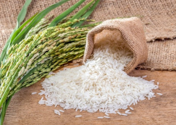 Leilão do arroz: governo Lula quer que empresários apresentem alternativas