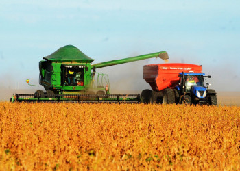 Exportações do Piauí somam US$ 1,2 bilhão até novembro de 2025; soja é o produto mais exportado