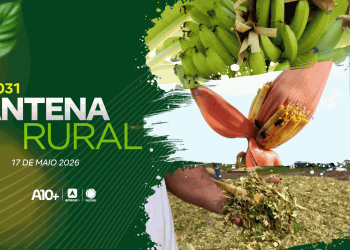 Antena Rural 17.05: produção de arroz no Piauí, receita de carneiro e muito mais; assista!