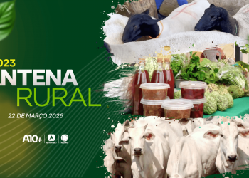 Assista agora ao Antena Rural deste domingo (22.03): pecuária impulsiona economia, receita de bolo de milho e muito mais