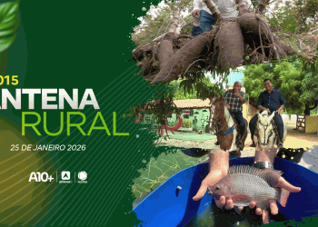 Criação de peixes, colheita da macaxeira e entrevista com Matheus Oliveira: assista ao Antena Rural deste domingo (25.01.26)