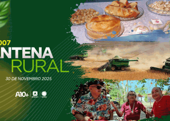 Mulheres empreendedoras no Piauí, série especial e receita: assista ao Antena Rural deste domingo (30)