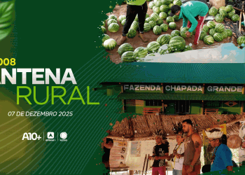 Indígenas Tabajara, colheita de melancia e soja na Chapada Grande: assista ao Antena Rural deste domingo (07)