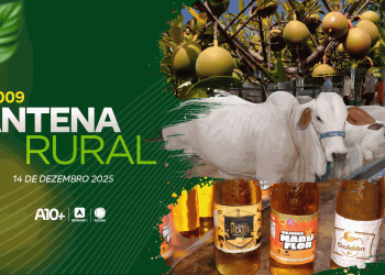 Preservação do bacuri, bastidores da Expoapi e a produção de cajuína: assista ao Antena Rural deste domingo (14.12.25)